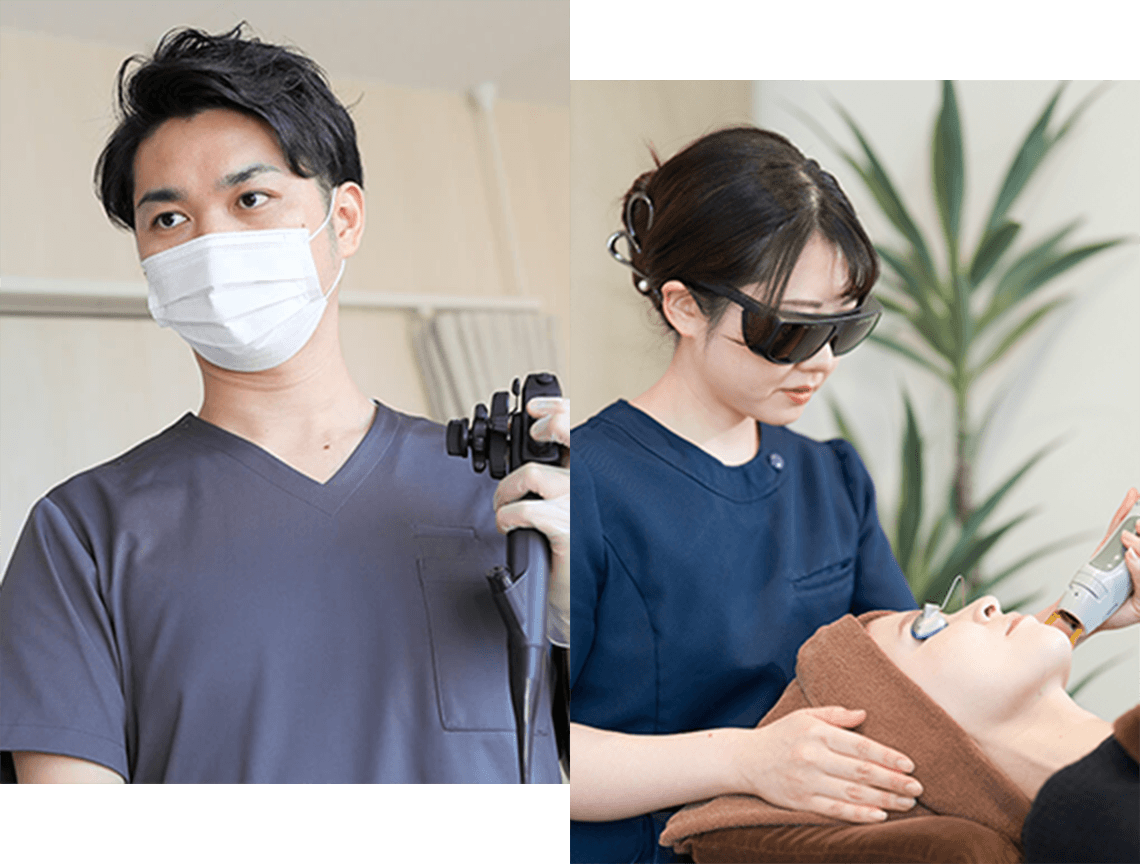 継承と進化