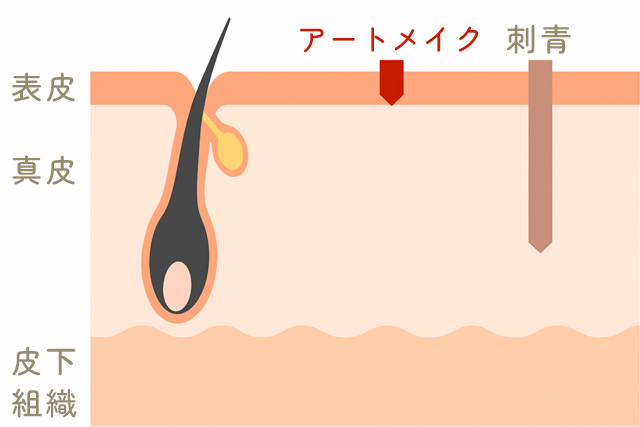 アートメイクの仕組み